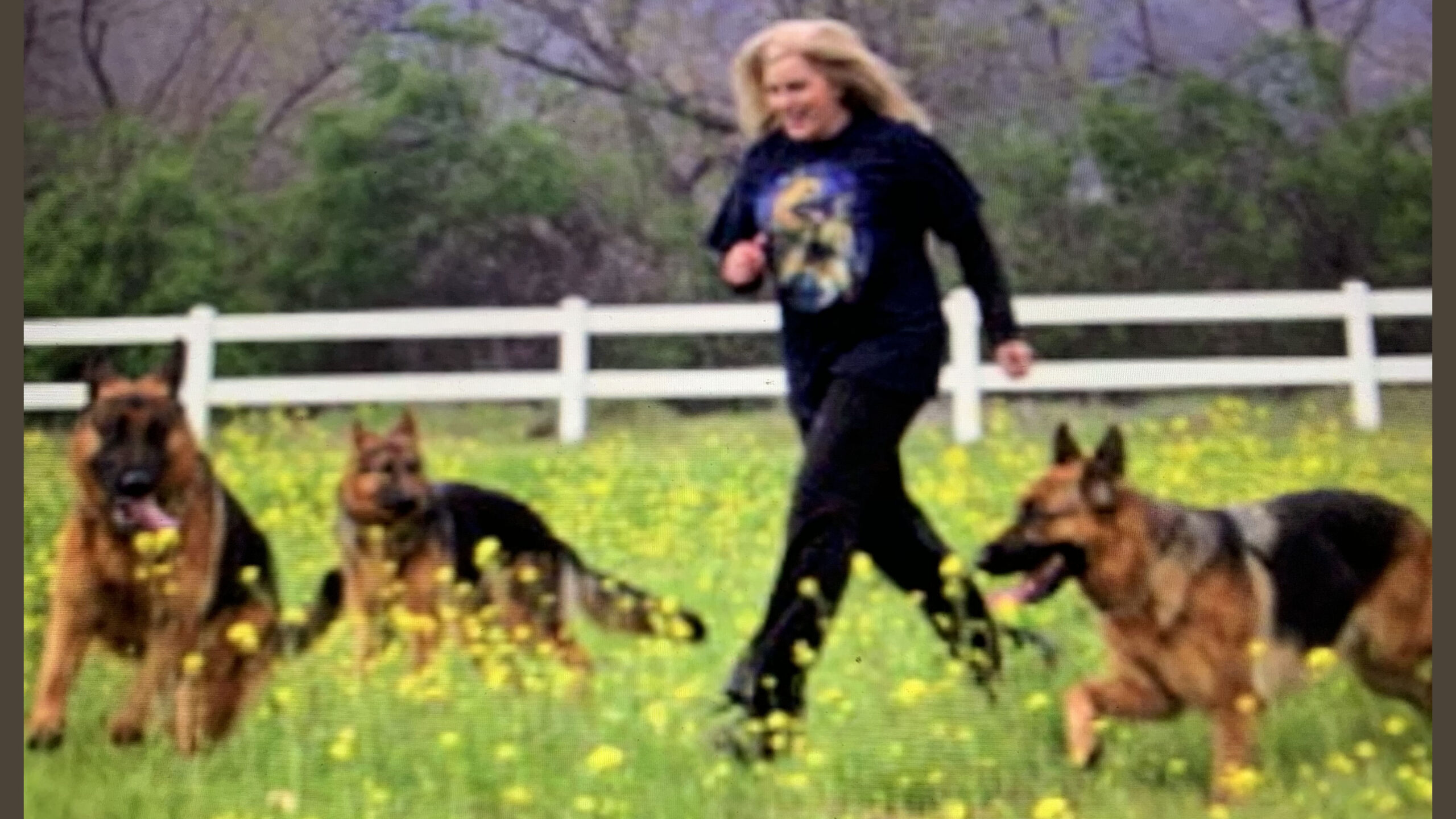Me & Dogs