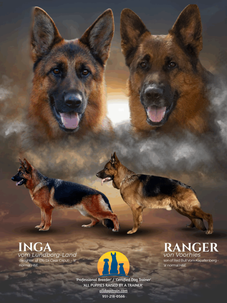 Ranger & Inga
